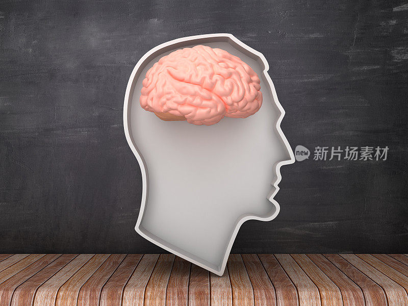 人类头部形状与大脑在黑板背景- 3D渲染